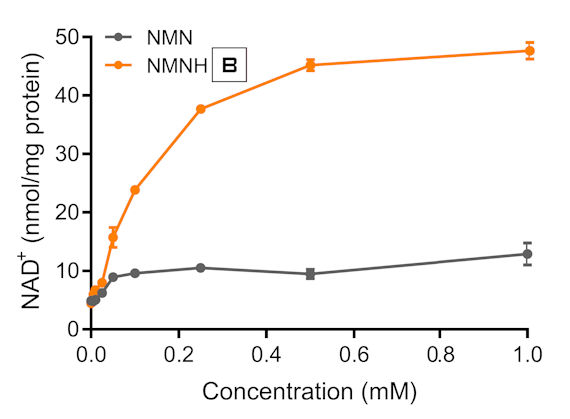 NMNH (amorf) vs. NMN